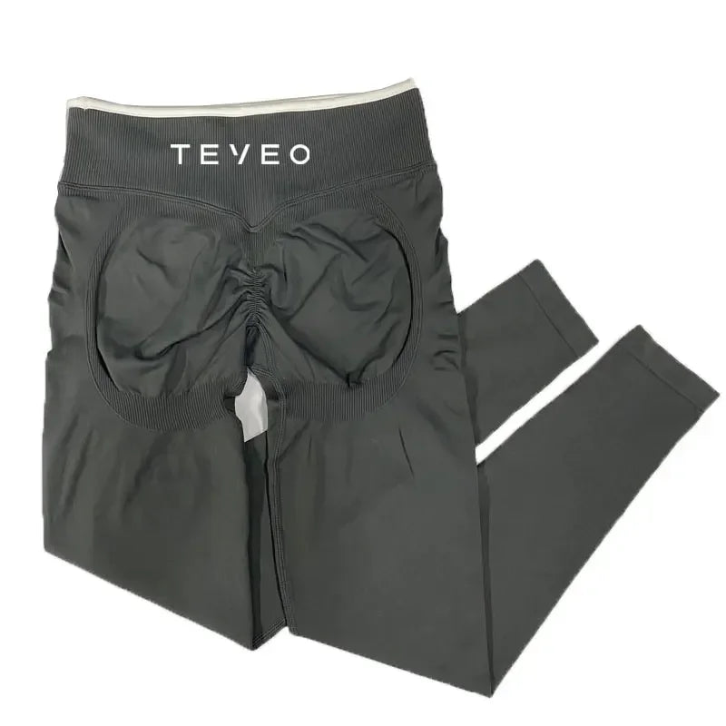 Sports Yoga Shorts Fitness Cycling Elastic Sports Pants Ignit